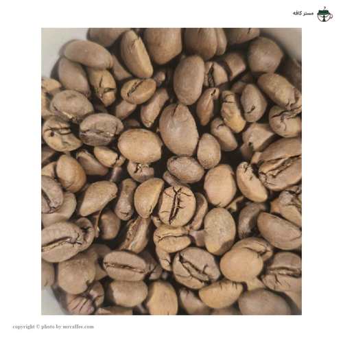 دانه قهوه روبستا